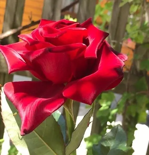 Appartamento Dependance Ii *